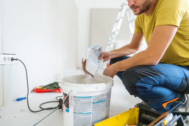 Best Basement Mold Removal  in Mercer Island, WA