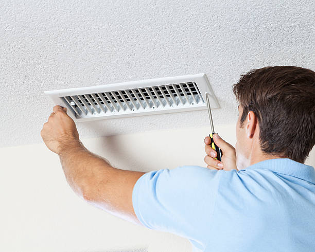 Best Black Mold Removal  in Mercer Island, WA