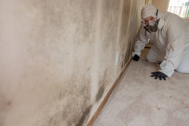 Best Post-Remediation Verification Testing  in Mercer Island, WA